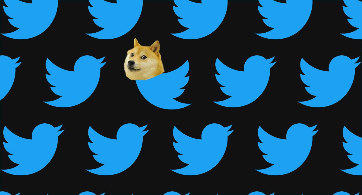 【笑死～】Twitter的新图标真的是非常狗 - EVLIT