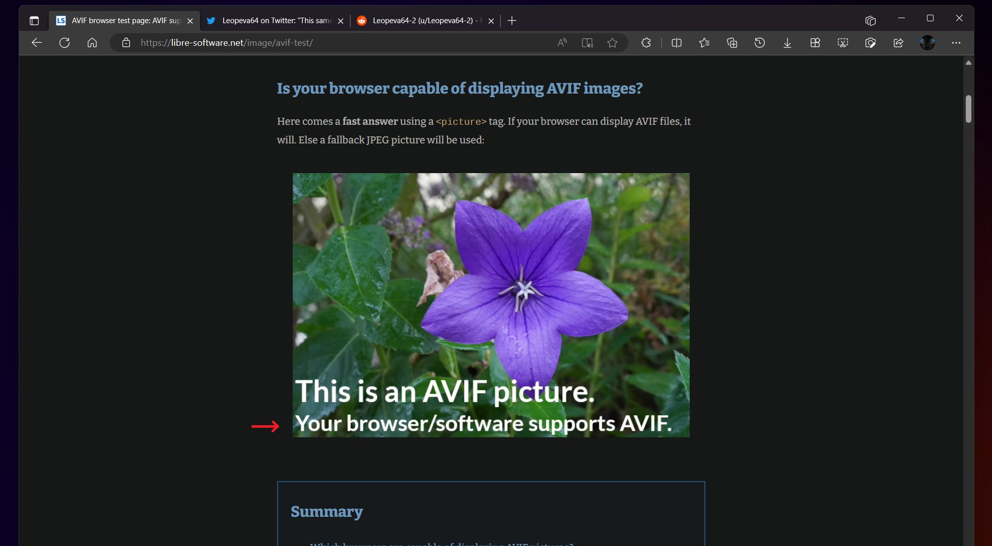 Edge浏览器将支持AVIF图像格式，滞后其它主流浏览器达两年之久 - EVLIT